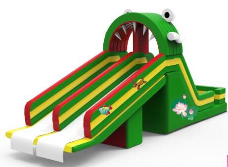 frog water slide(1pc).jpg